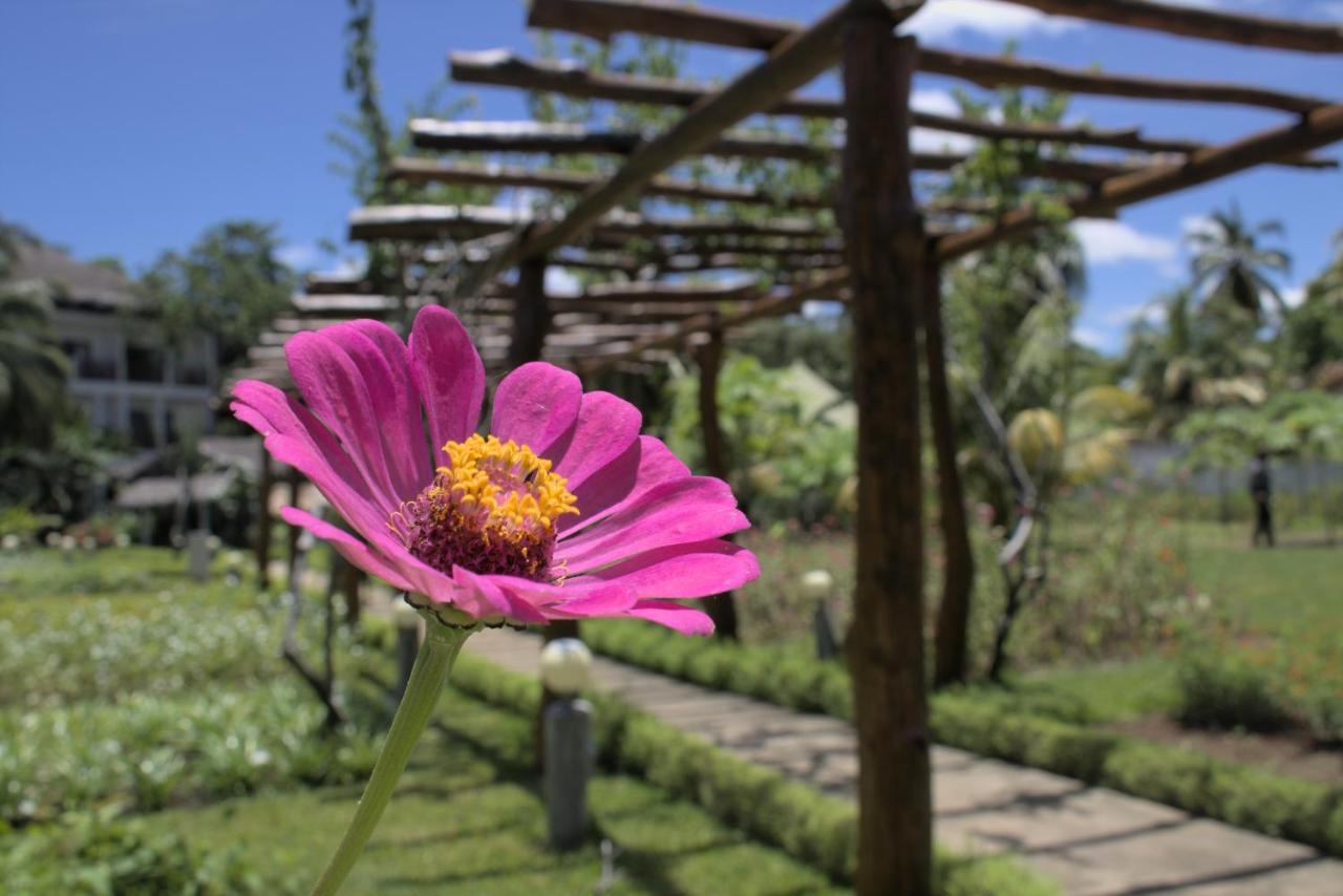 Nosy Be Hotel & Spa Ambondrona  Dış mekan fotoğraf